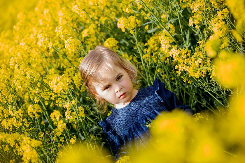 Fotografie 684A2348.jpg v galerii Jaro od fotografky Eriky Matějkové