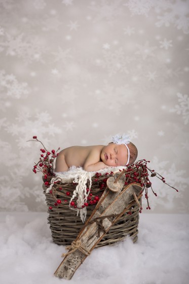 Fotografie 684A5784a.jpg v galerii Novorozenci od fotografky Eriky Matějkové