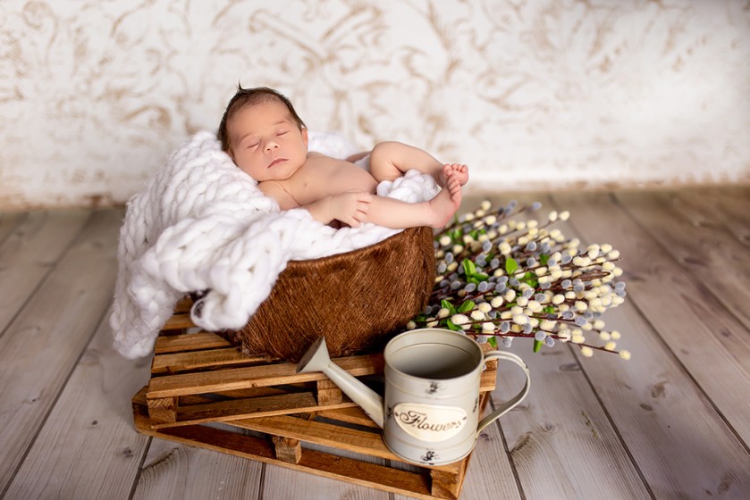 Fotografie BO7A5584www.jpg v galerii Úvod od fotografky Eriky Matějkové