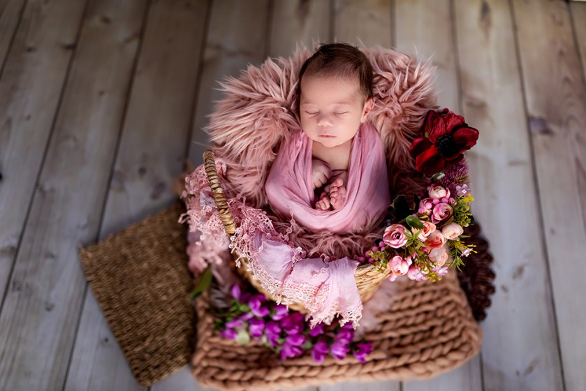 Fotografie BO7A5599www.jpg v galerii Úvod od fotografky Eriky Matějkové