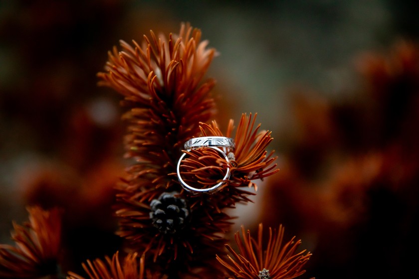 Fotografie 684A7244.jpg v galerii Prstýnky, kytice od fotografky Eriky Matějkové