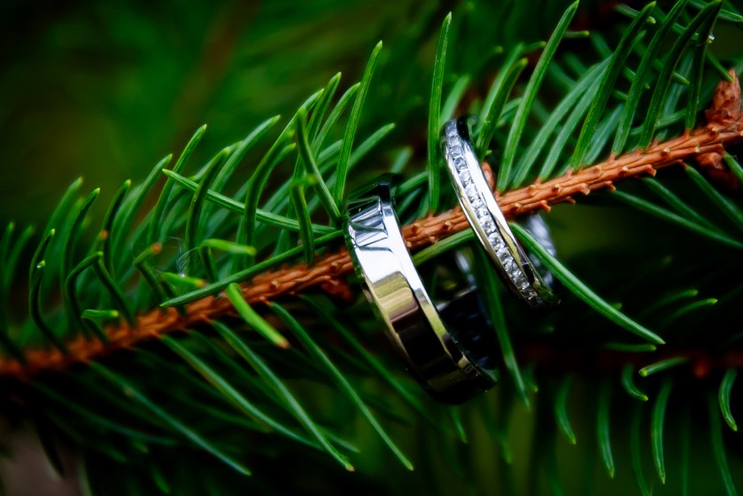 Fotografie BO7A6116.jpg v galerii Prstýnky, kytice od fotografky Eriky Matějkové