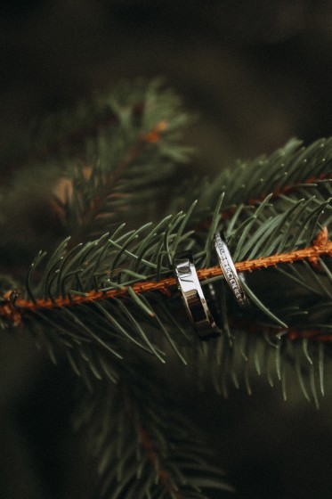 Fotografie BO7A6118.jpg v galerii Prstýnky, kytice od fotografky Eriky Matějkové